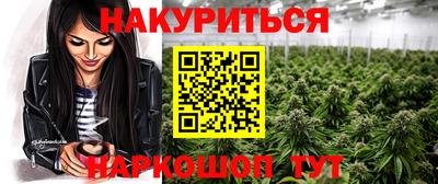 гашик Моздок