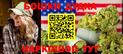 гашик Моздок