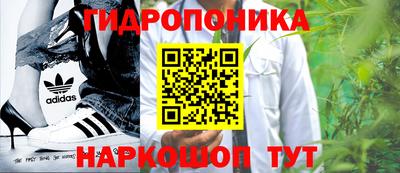 a pvp Можга