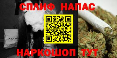 гашик Моздок