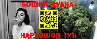 a pvp Можга