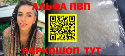 гашик Моздок