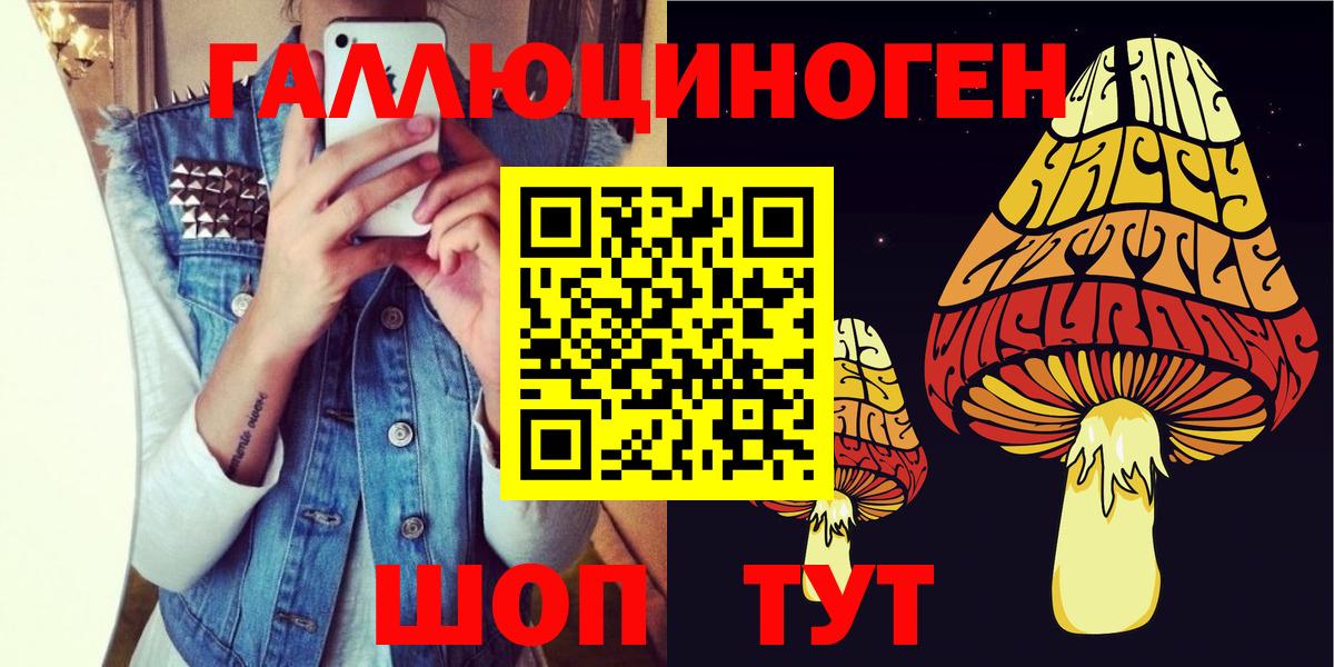 Псилоцибиновые грибы MAGIC MUSHROOMS  Вход с VPN  Чистополь 