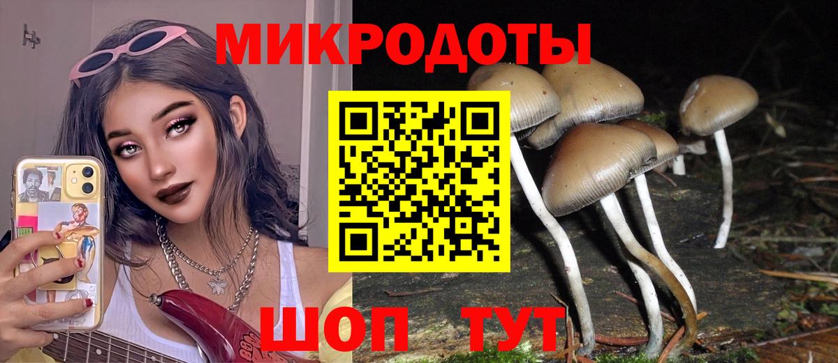 Галлюциногенные грибы MAGIC MUSHROOMS Чистополь